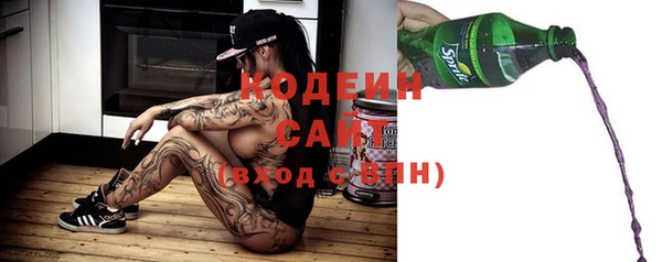 гидра Арсеньев