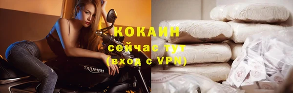 гидра Арсеньев