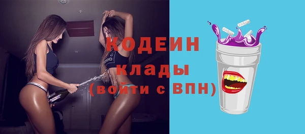 гидра Арсеньев