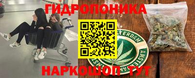 стаф Лесосибирск