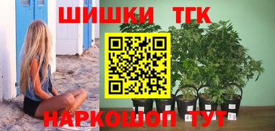 стаф Лесосибирск