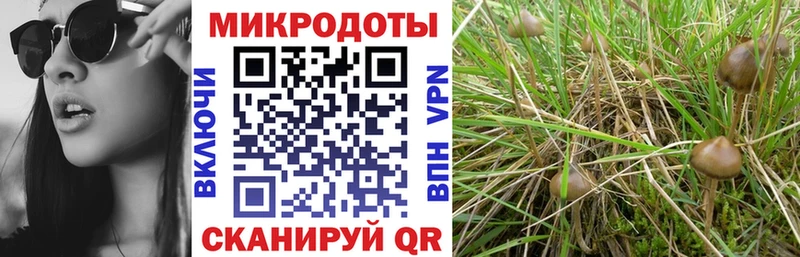 Галлюциногенные грибы Psilocybine cubensis  это официальный сайт  Дедовск  цены  