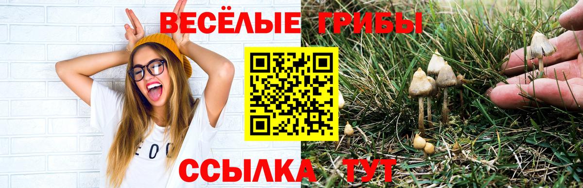 Дедовск  Галлюциногенные грибы ЛСД  Вход с VPN 