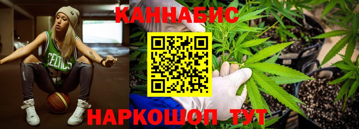 Шишки марихуана сатива Дедовск